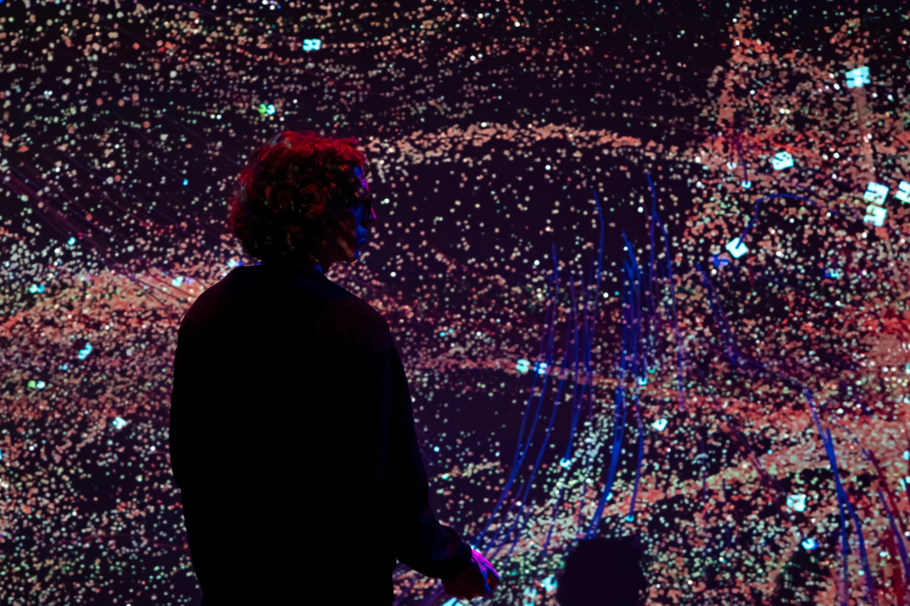 La inteligencia de las flores